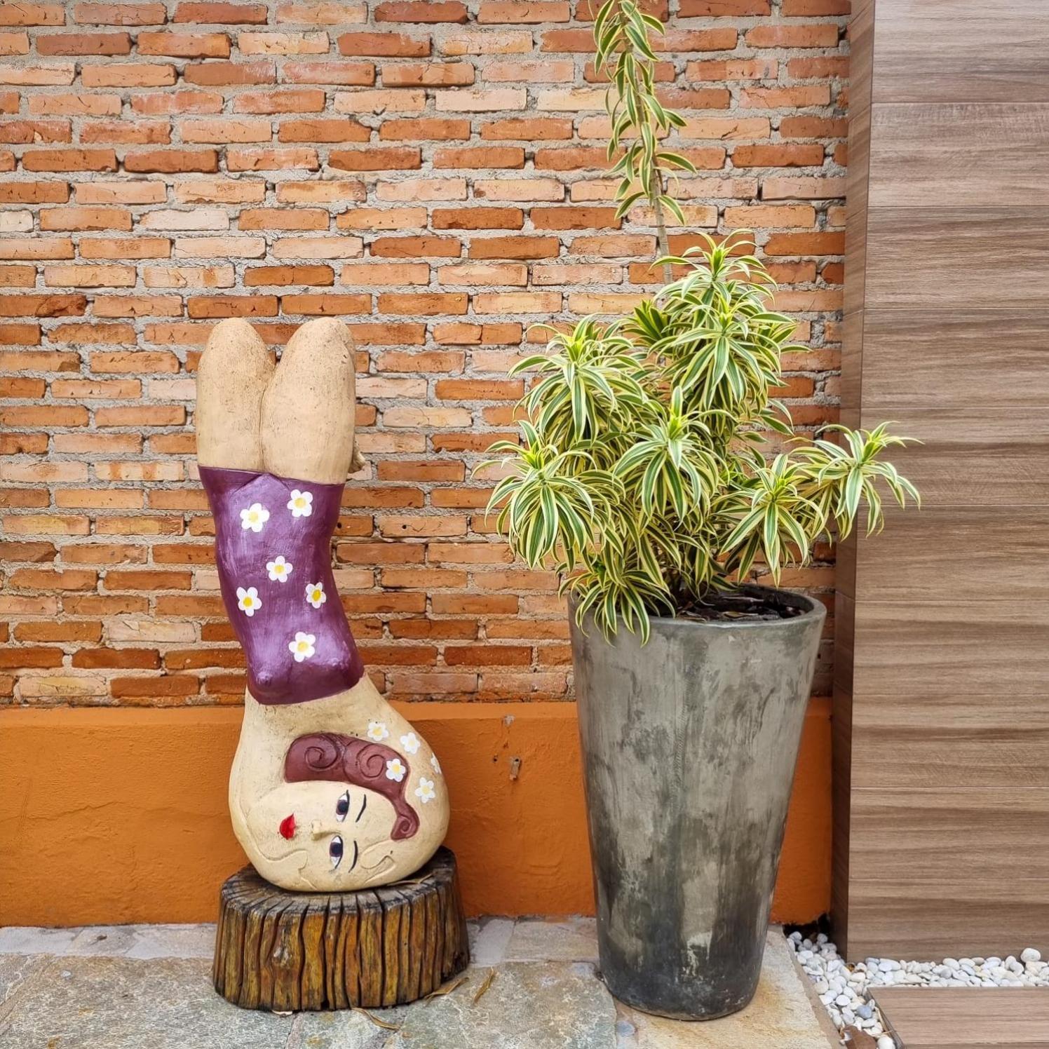 ホテル Pouso 22 Pirenópolis エクステリア 写真